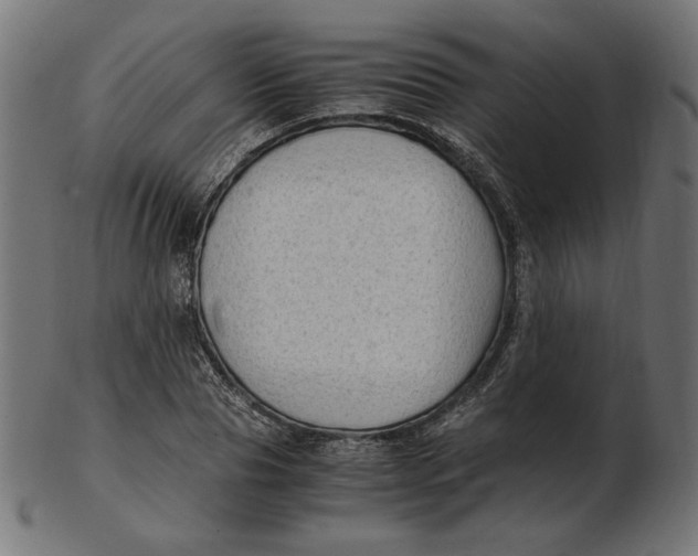 X0000103130929200809121728