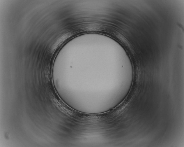 X0000103130930200809121728