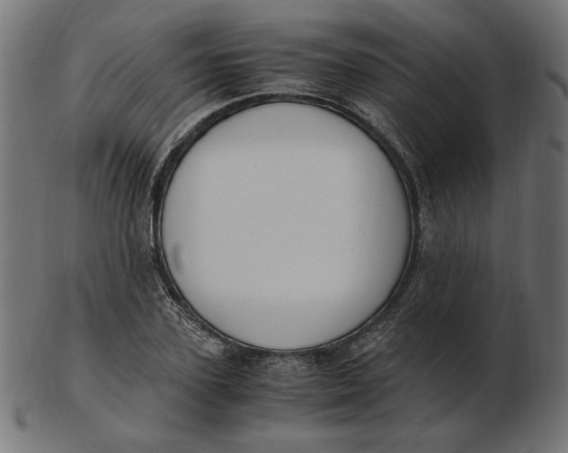 X0000103130931200809121728