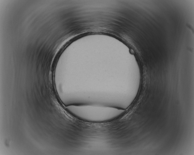 X0000103130932200809121728