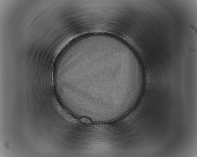 X0000103130934200809121728