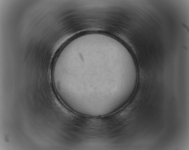 X0000103130935200809121728