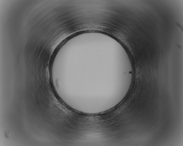 X0000103130936200809121728