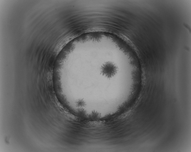 X0000103130937200809121728