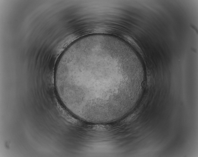 X0000103130938200809121728