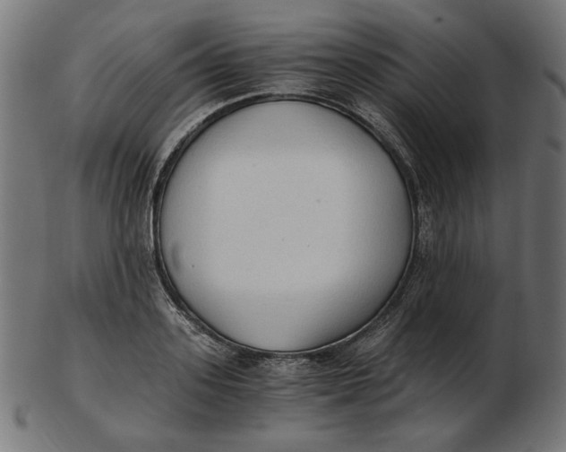 X0000103130939200809121728