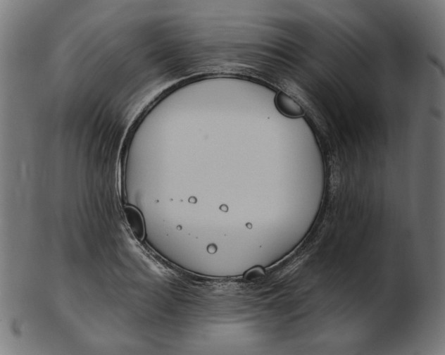 X0000103130940200809121728