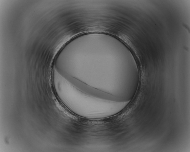 X0000103130941200809121728