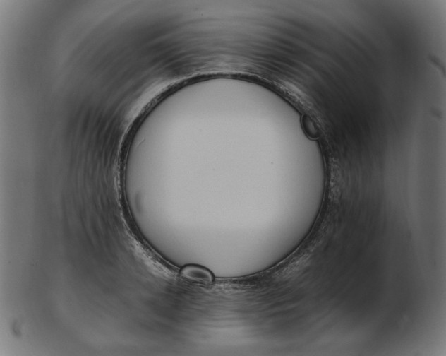 X0000103130942200809121728