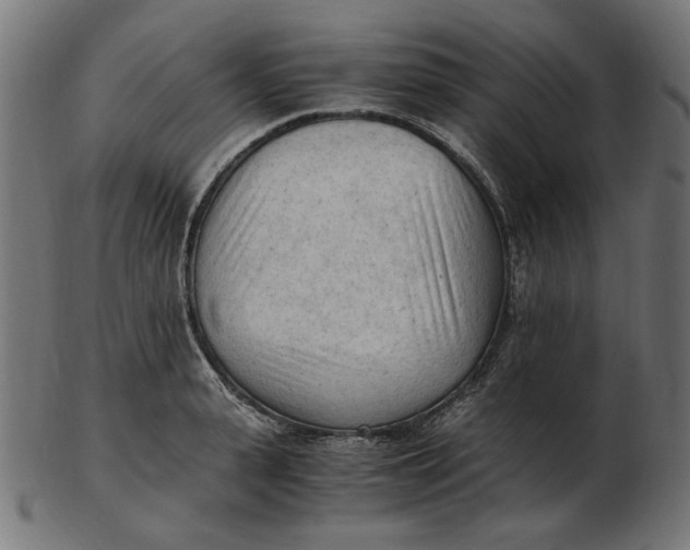 X0000103130943200809121728