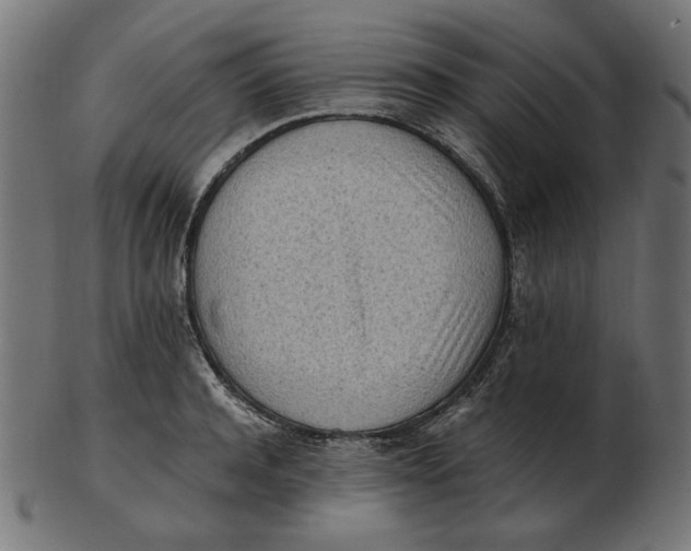 X0000103130944200809121728