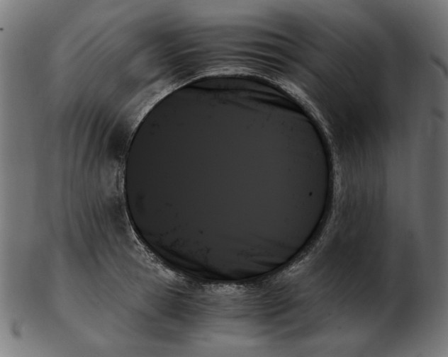 X0000103130945200809121728