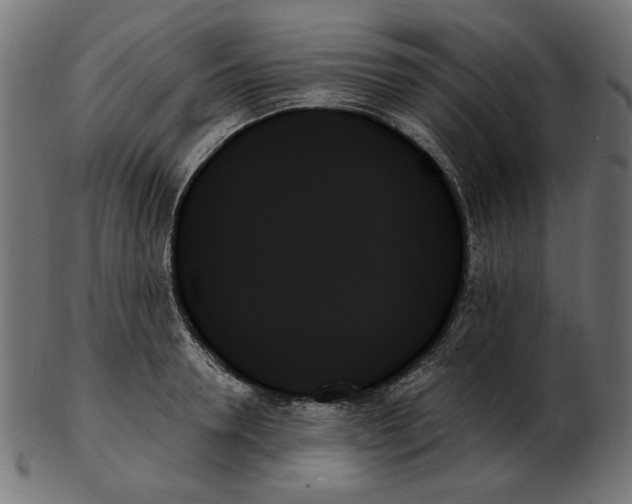 X0000103130946200809121728