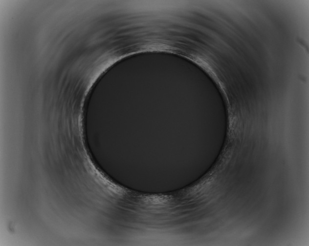 X0000103130947200809121728