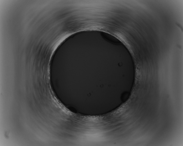 X0000103130948200809121728
