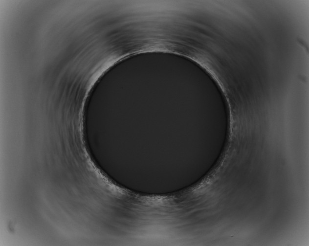 X0000103130949200809121728