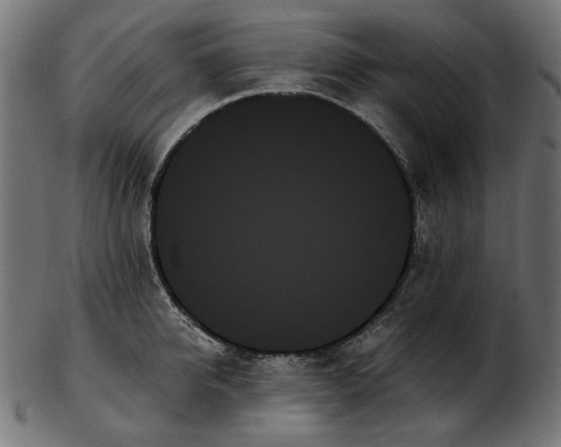X0000103130950200809121728