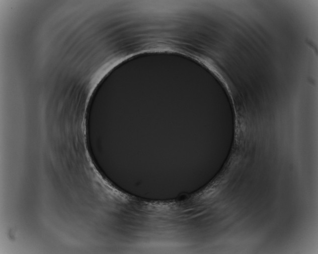 X0000103130951200809121728