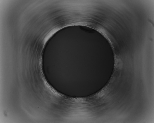 X0000103130952200809121728