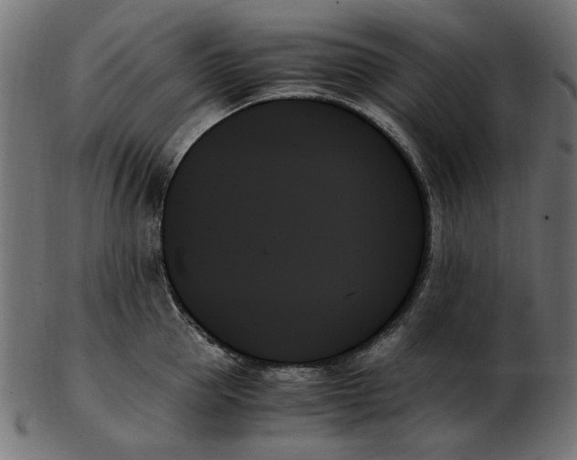X0000103130953200809121728