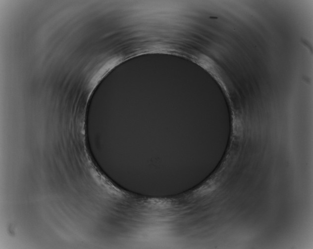 X0000103130954200809121728