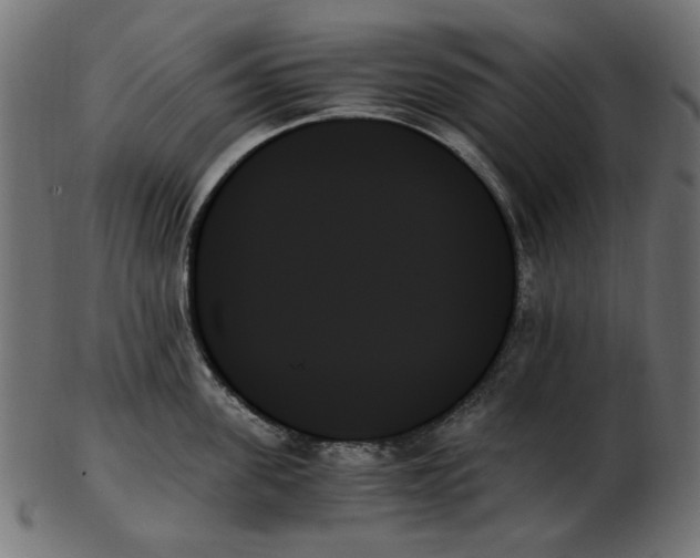 X0000103130955200809121728
