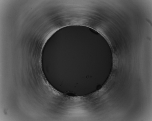 X0000103130956200809121728