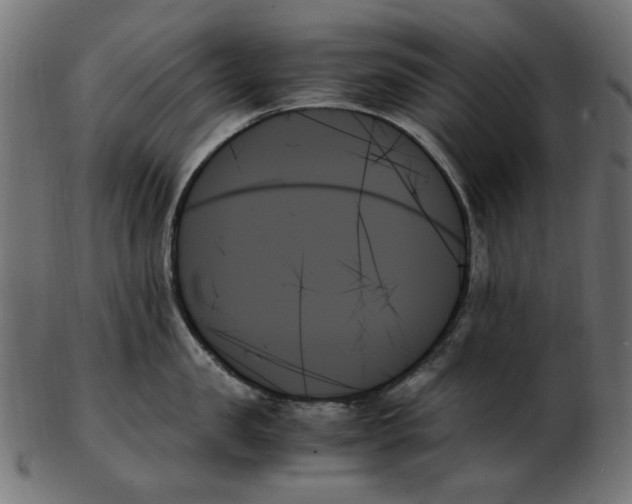 X0000103130957200809121728