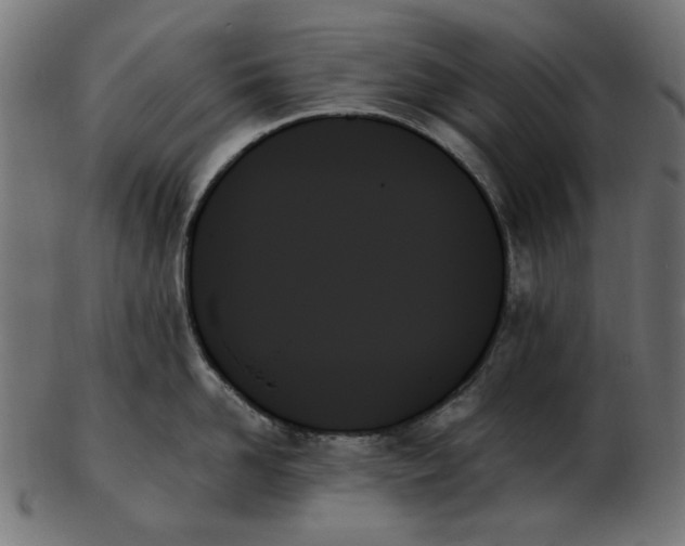 X0000103130958200809121728