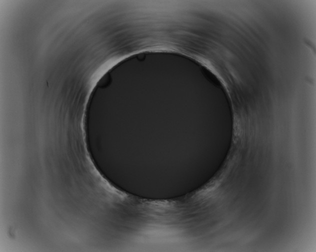 X0000103130959200809121728