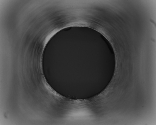 X0000103130960200809121728
