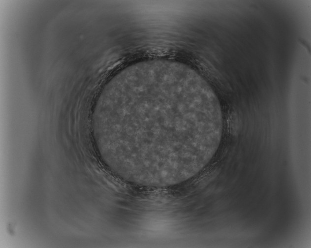 X0000103130961200809121728