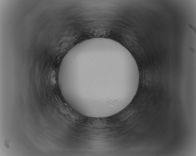 X0000103130962200809121728