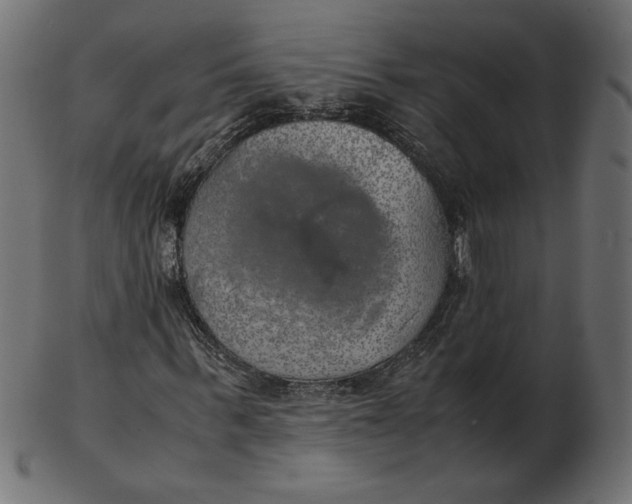 X0000103130963200809121728