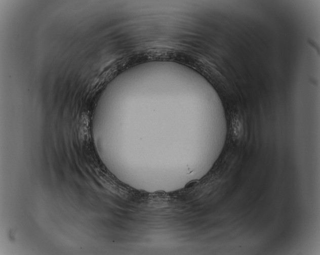 X0000103130964200809121728