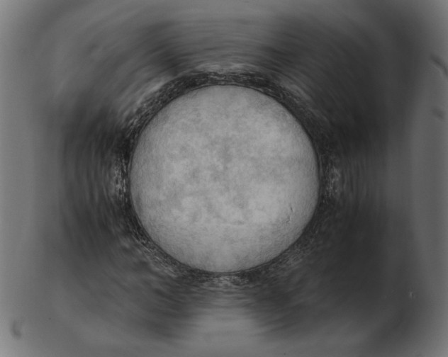 X0000103130966200809121728