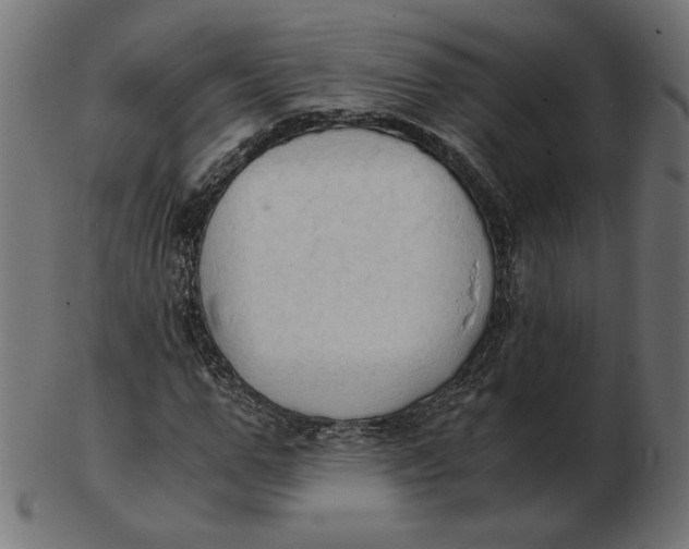 X0000103130967200809121728