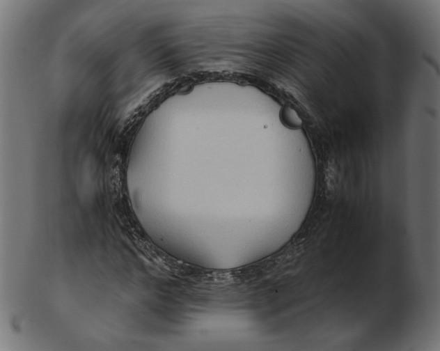 X0000103130968200809121728