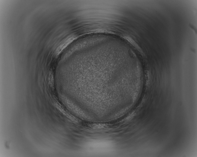 X0000103130969200809121728