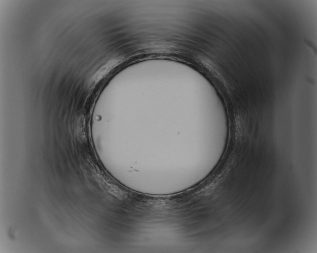 X0000103130970200809121728