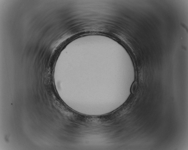 X0000103130971200809121728