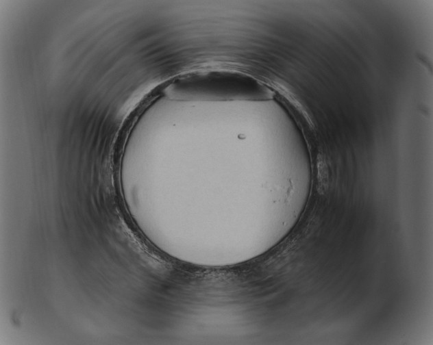 X0000103130972200809121728
