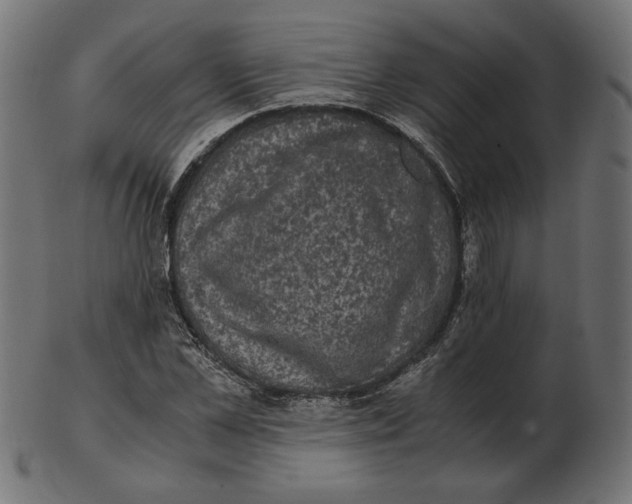 X0000103130973200809121728