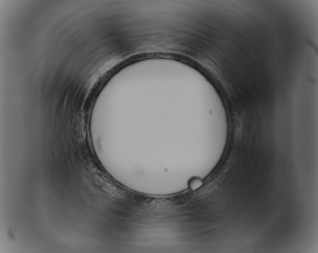 X0000103130974200809121728