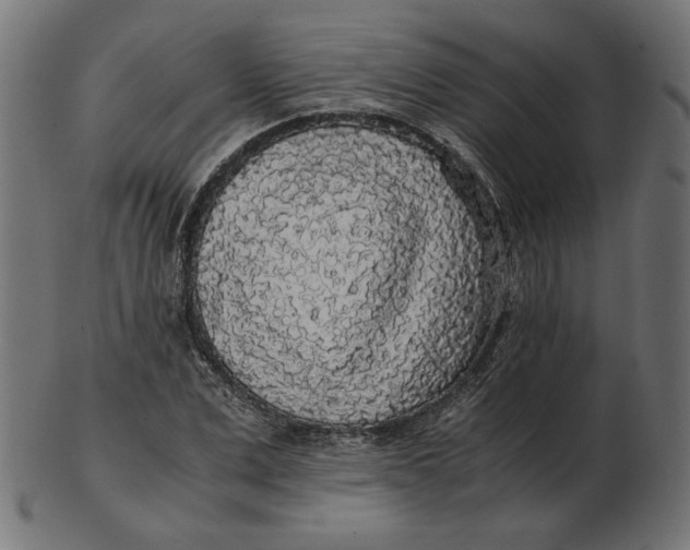 X0000103130975200809121728