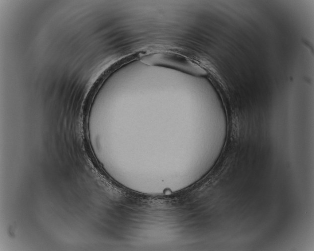 X0000103130976200809121728