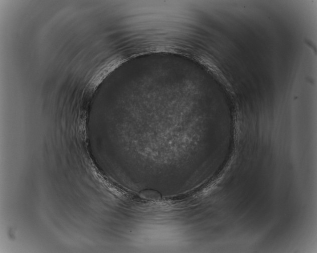 X0000103130977200809121728