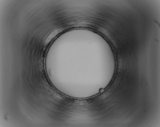 X0000103130978200809121728