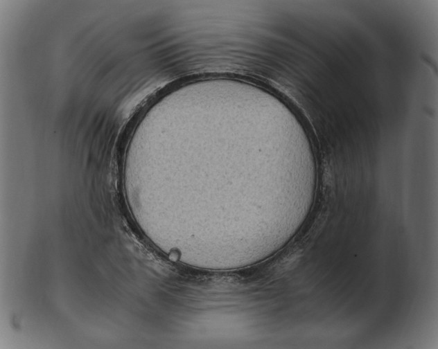 X0000103130979200809121728