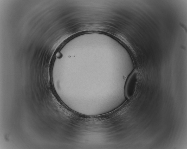 X0000103130980200809121728